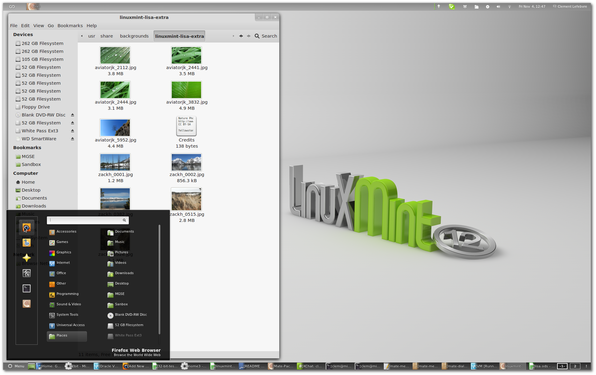 linuxmint12-preview.png